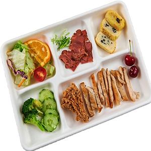 Sugarcane Bagasse Lunch Tray 5 Compartemnt