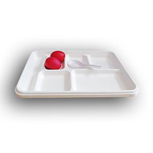 Sugarcane Bagasse Lunch Tray 6 Compartemnt 