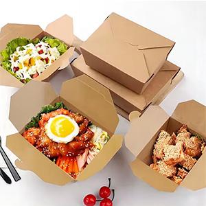 Kraft Takeout Food Containers