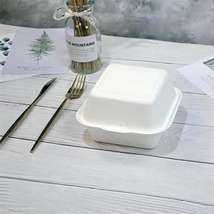 Sugarcane Bagasse 6 Inch Burger Box 