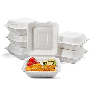 Sugarcane Bagasse Clamshell 8 Inch 3 com