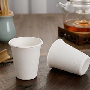 Sugarcane Bagasse Cups With Lids